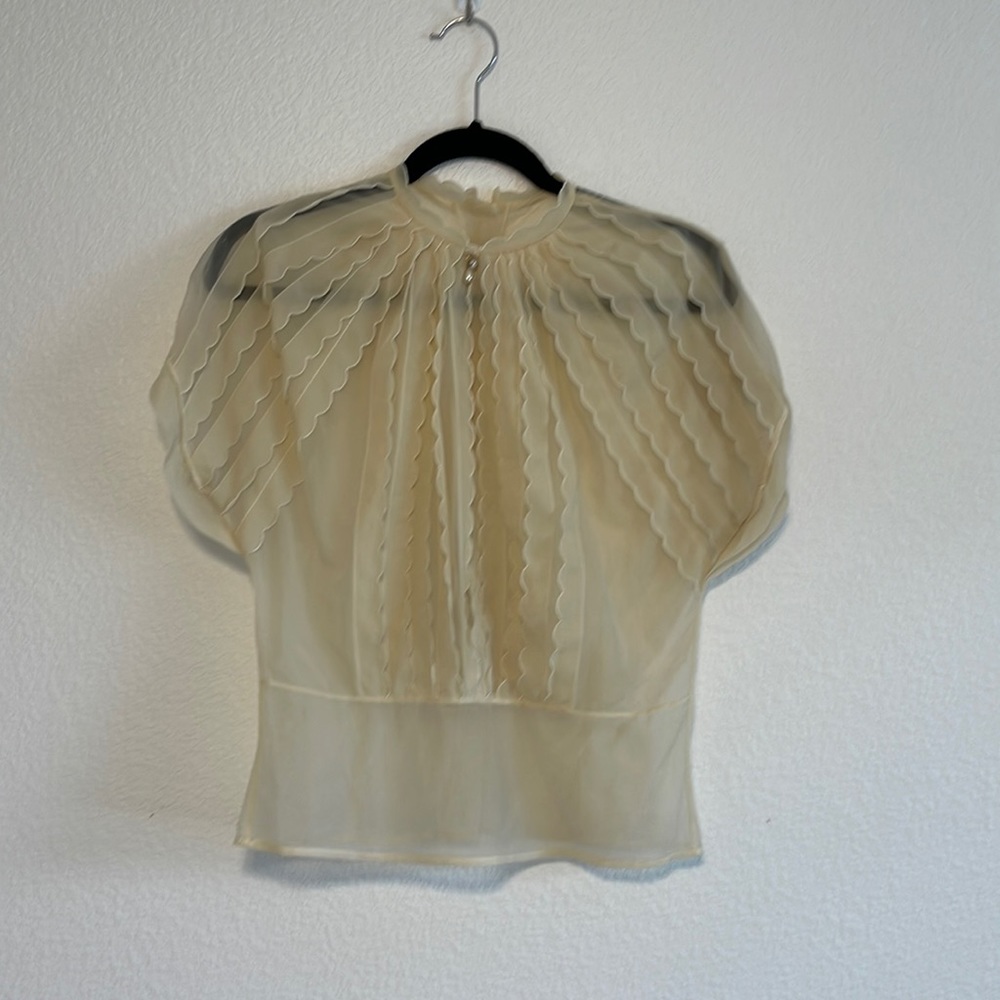 VTG 50’s Sheer Ruffle Feminine Nylon Blouse Rhinestone Charm